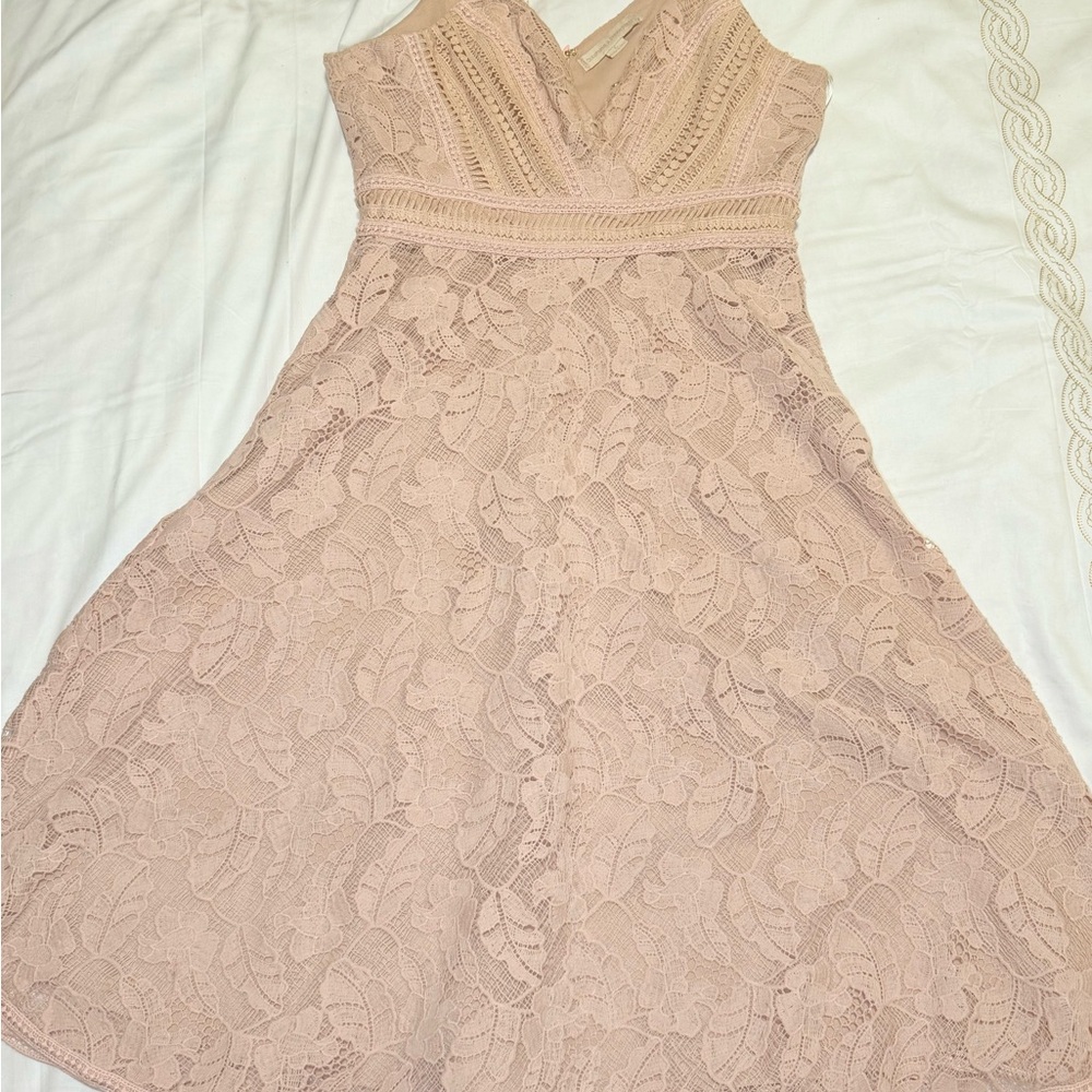 Elegant Lace Dress in Blush Pink